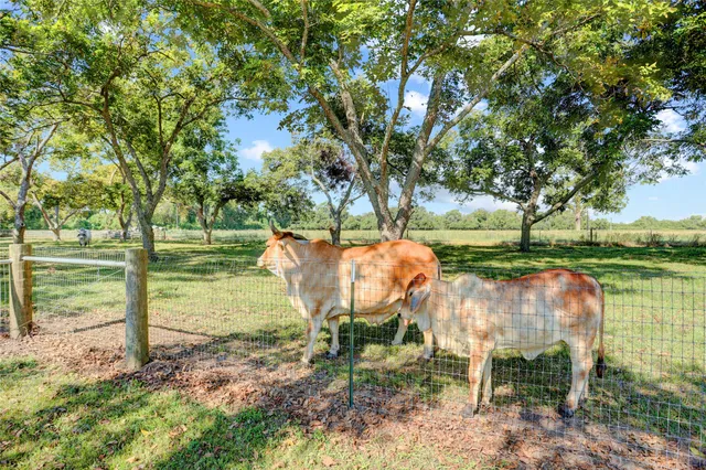 a view of a lake with a table and chairs