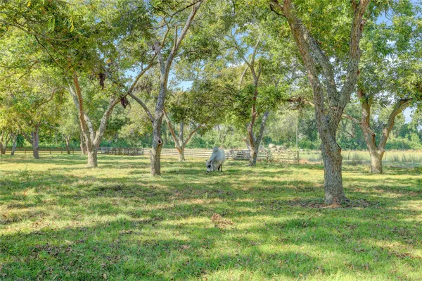 a view of field with trees