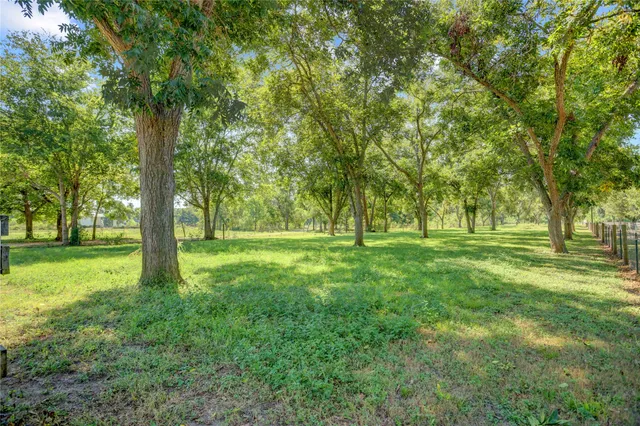 a huge green field with lots of trees