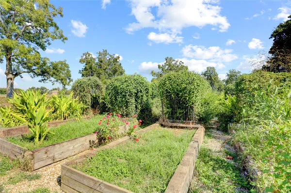 a view of a garden with a pathway