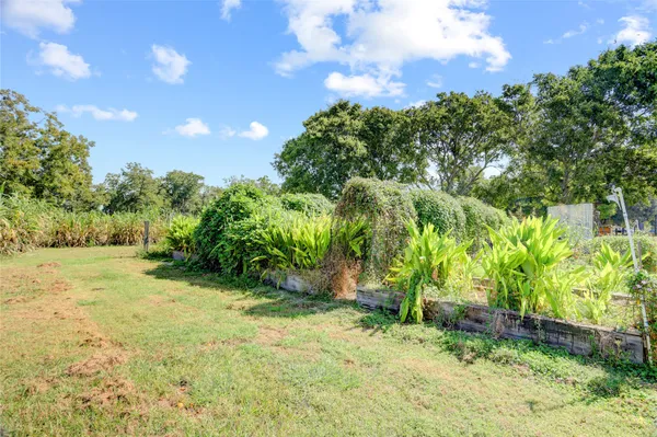 a view of a yard with a tree
