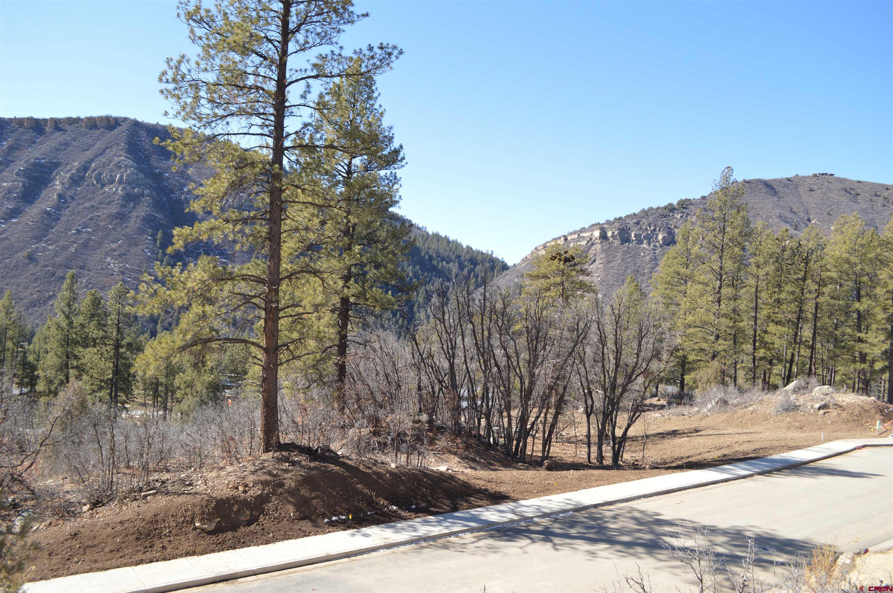 830 Tipple Avenue Durango, CO 81301 - Photo 17 of 20 a view of a backyard
