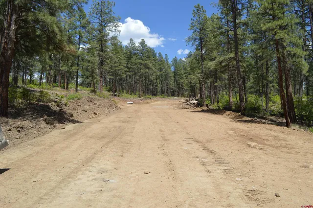a view of a dirt road with trees in the background
