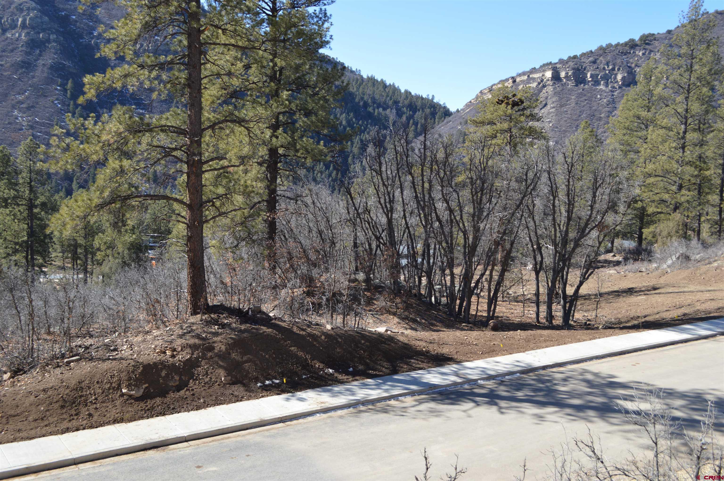 830 Tipple Avenue Durango, CO 81301 - Photo 18 of 20 a view of a yard with large trees
