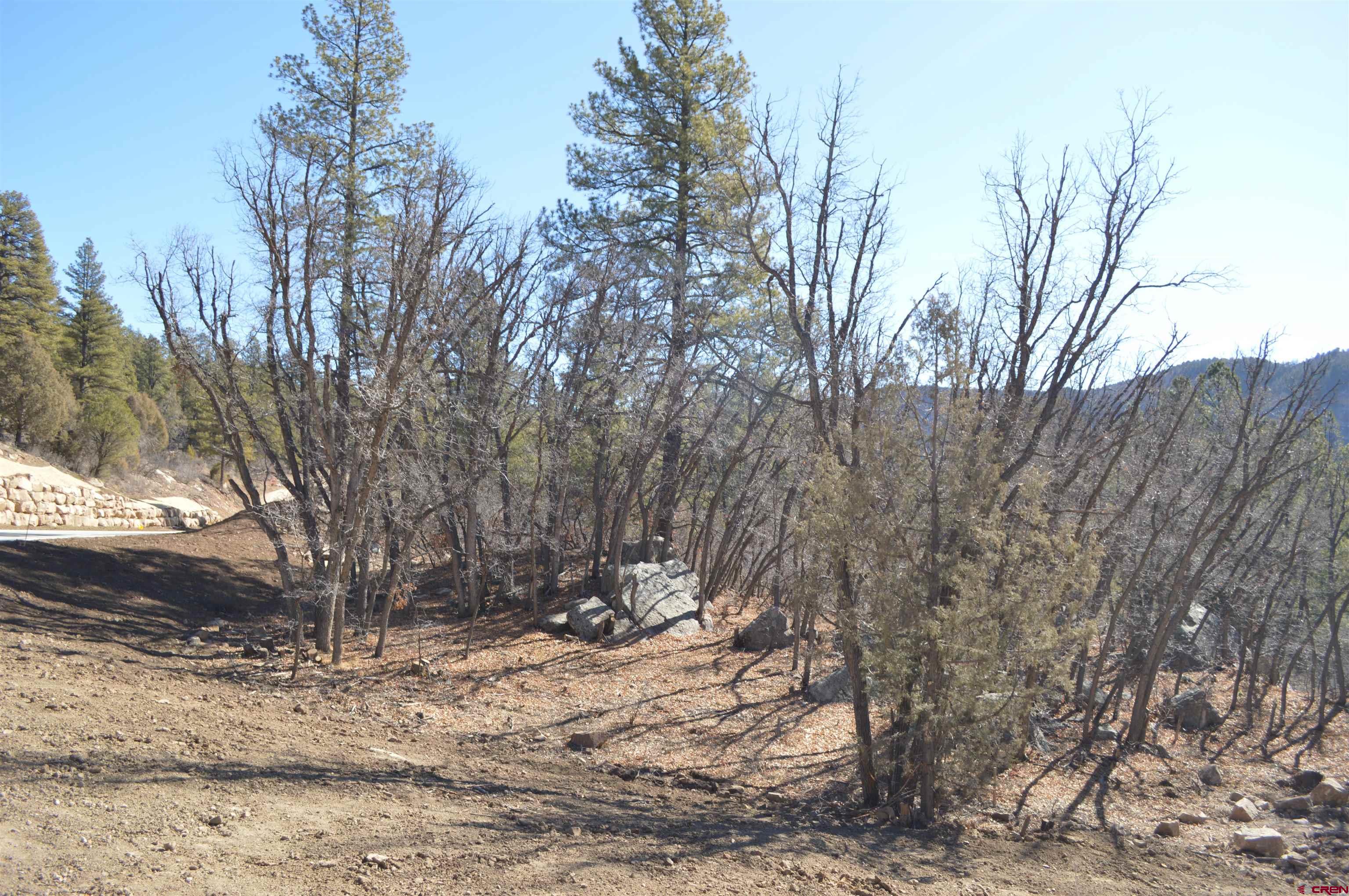 830 Tipple Avenue Durango, CO 81301 - Photo 19 of 20 a view of outdoor space and yard
