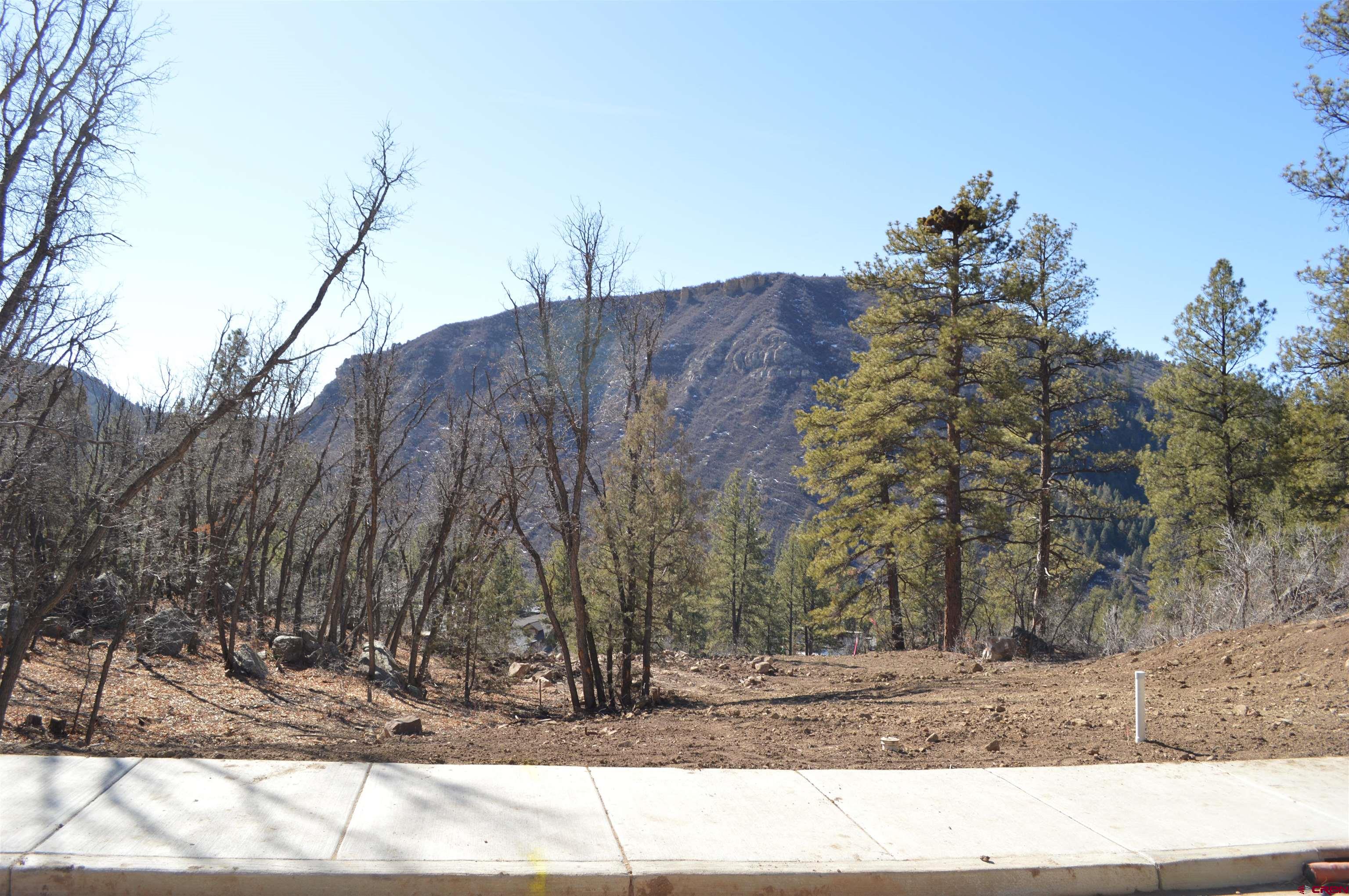 830 Tipple Avenue Durango, CO 81301 - Photo 20 of 20 a view of a backyard