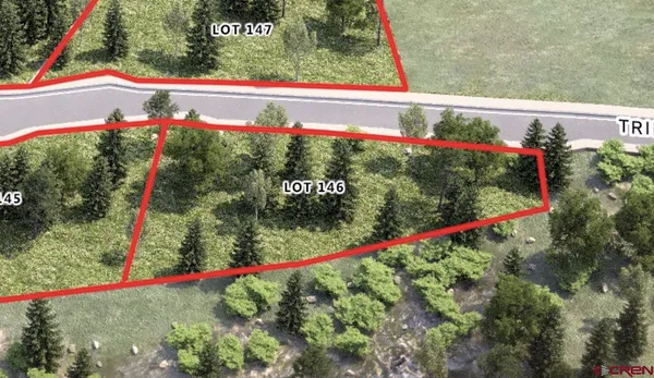 a view of a garden with a large tree