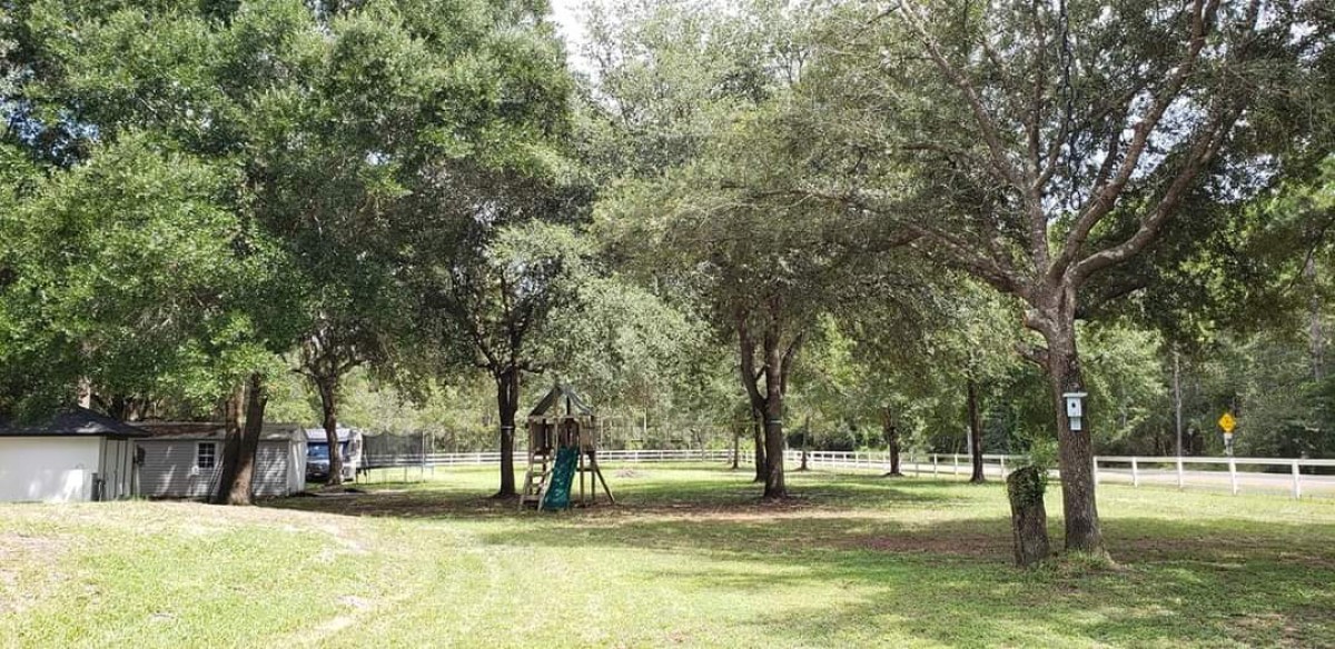 96414 Chester Road Yulee, FL 32097 - Photo 4 of 13 a view of a yard with a tree