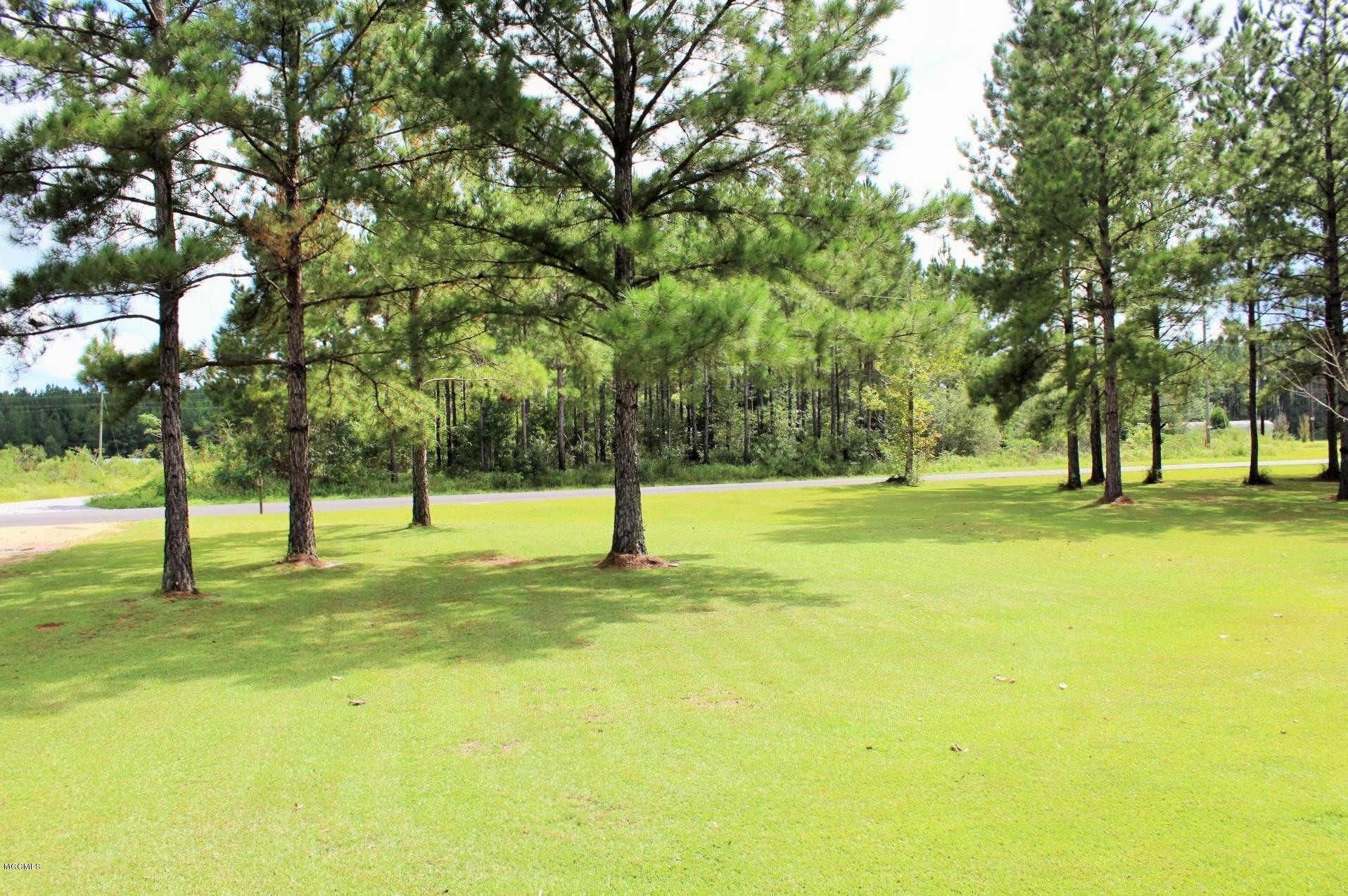 2297 Mt Pleasant Road Lucedale, MS 39452 - Photo 41 of 44 Land