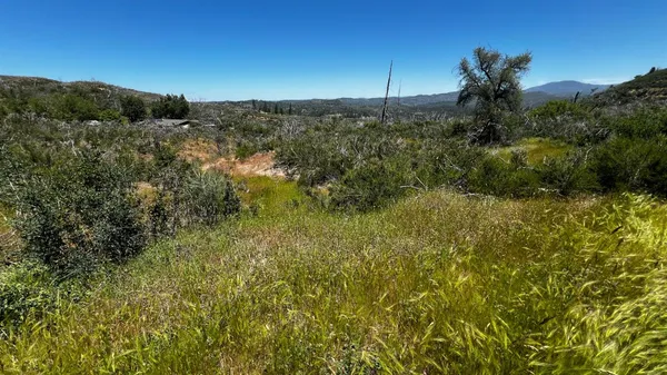 $39,000 | 6360 Eagle View Drive, Unit M24 2 POR LOT 47 PCL B PM 6 94 26, Mountain Ranch, CA 95246