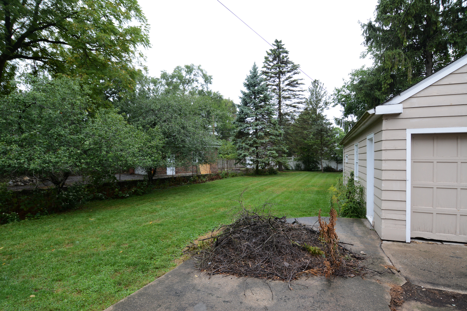 216 Blackhawk Road Riverside, IL 60546 - Photo 23 of 27 a view of a backyard with plants and large trees