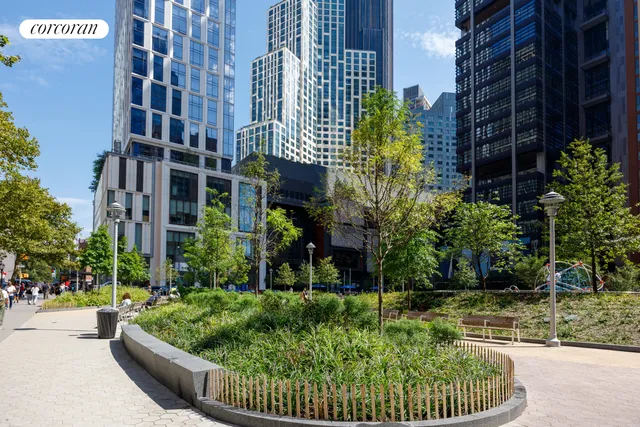 a row of palm trees and sign on the side of the road
