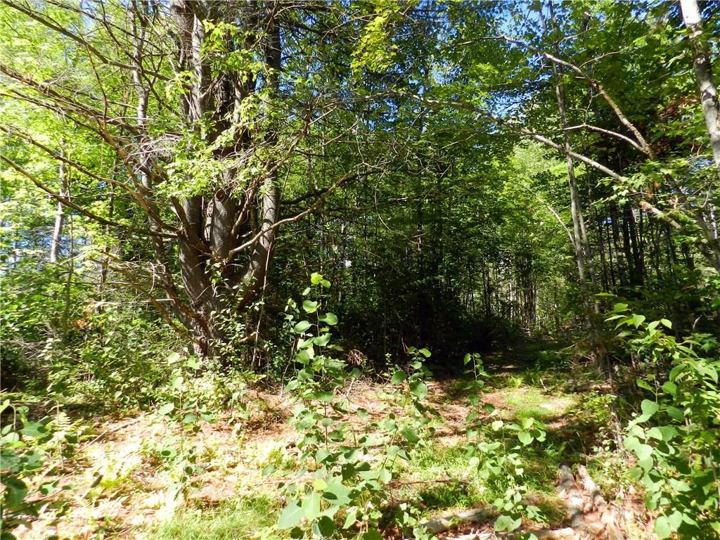 0 Todds Corner Road St. Albans, ME 04971 - Photo 9 of 14 Photo