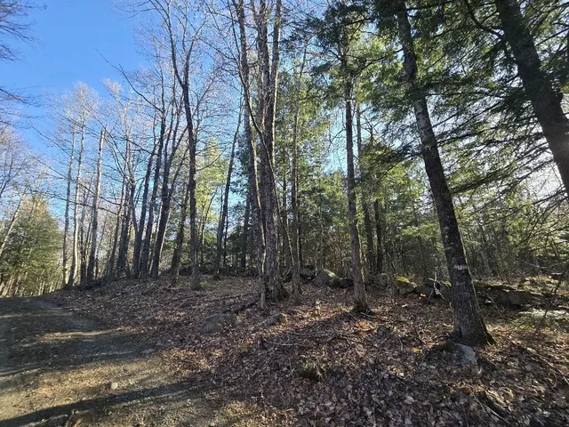 $250,000 | Lot 9-12 Smith Road, New Sharon, ME 04955