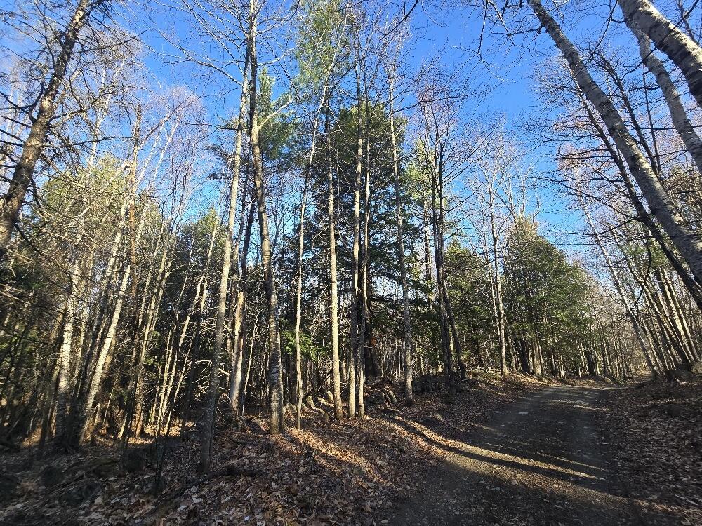 Lot 9-12 Smith Road New Sharon, ME 04955 - Photo 14 of 19 20250428_174835_resized_1