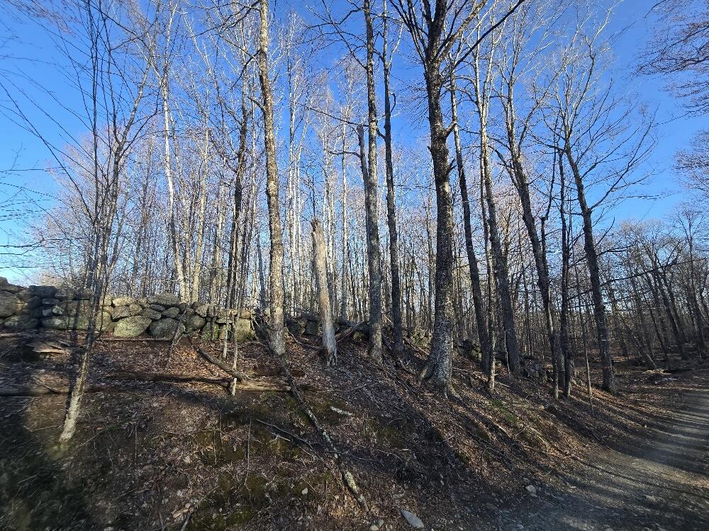 Lot 9-12 Smith Road New Sharon, ME 04955 - Photo 19 of 19 20250428_175316_resized_1