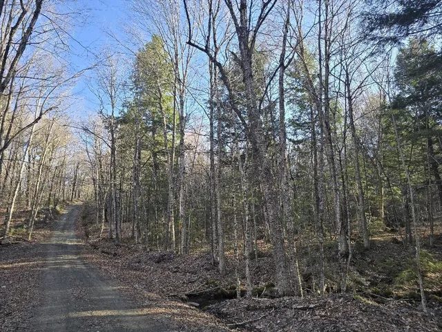 $250,000 | Lot 9-12 Smith Road, New Sharon, ME 04955
