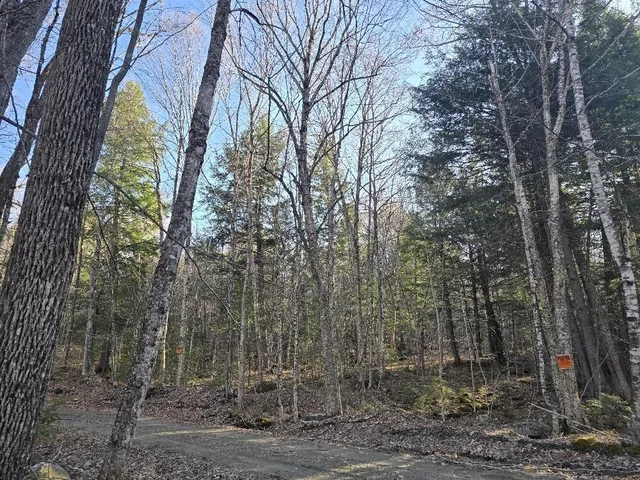 $250,000 | Lot 9-12 Smith Road, New Sharon, ME 04955