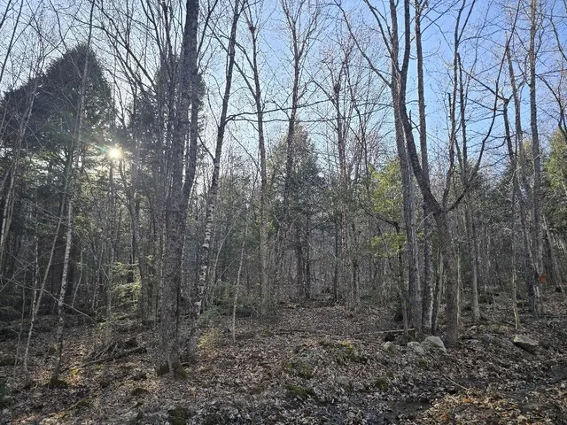 $250,000 | Lot 9-12 Smith Road, New Sharon, ME 04955