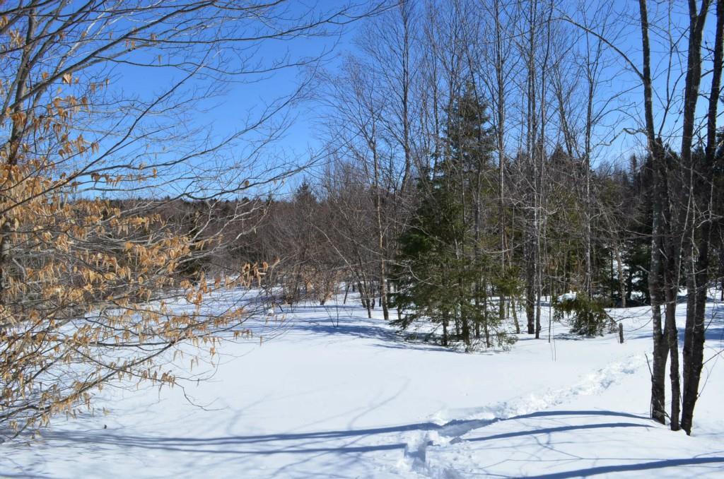 96 Freedom Way Springfield, ME 04487 - Photo 10 of 15 Photo