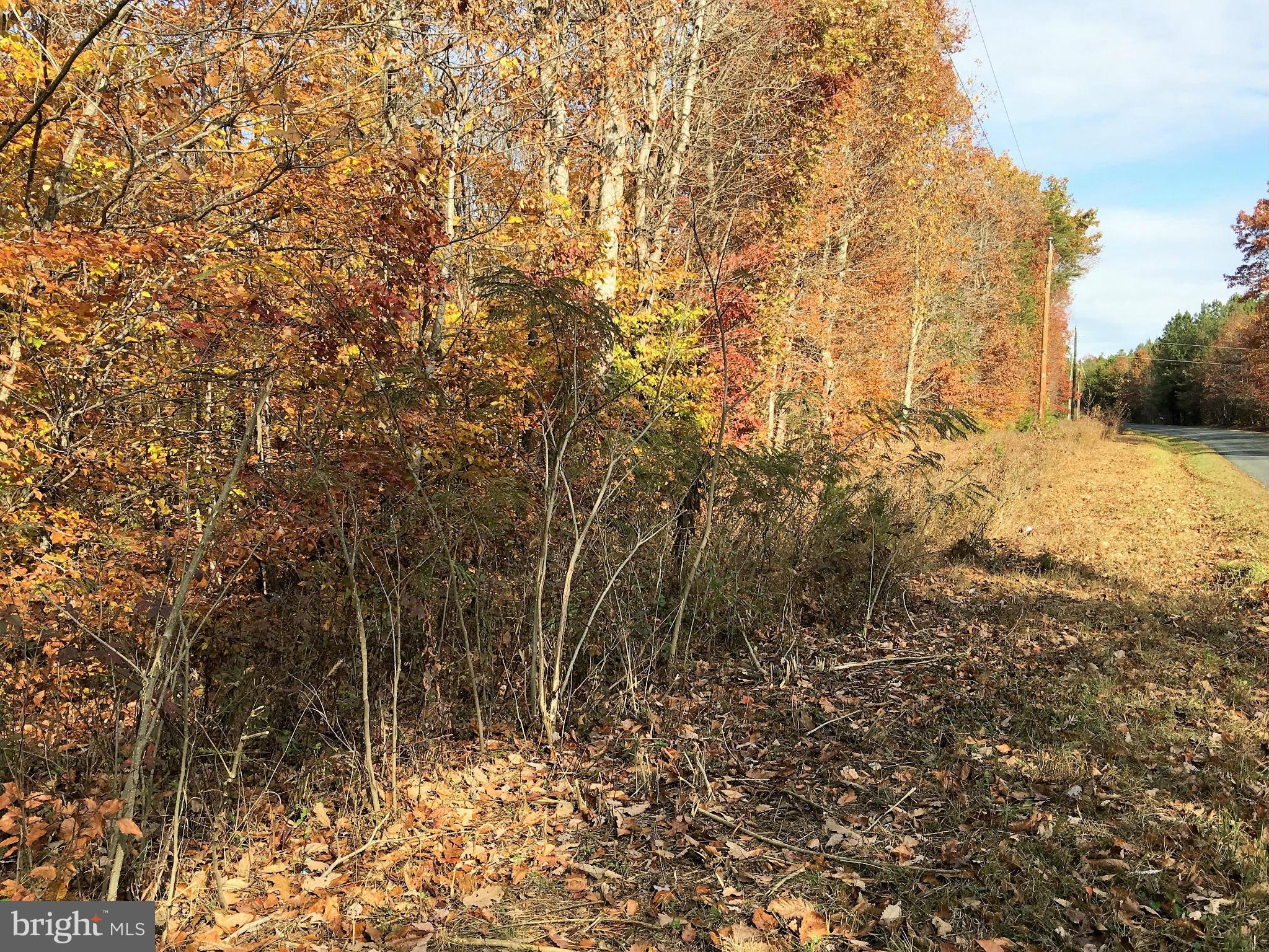 Valentine Mill Road Gordonsville, VA 22942 - Photo 6 of 6 View