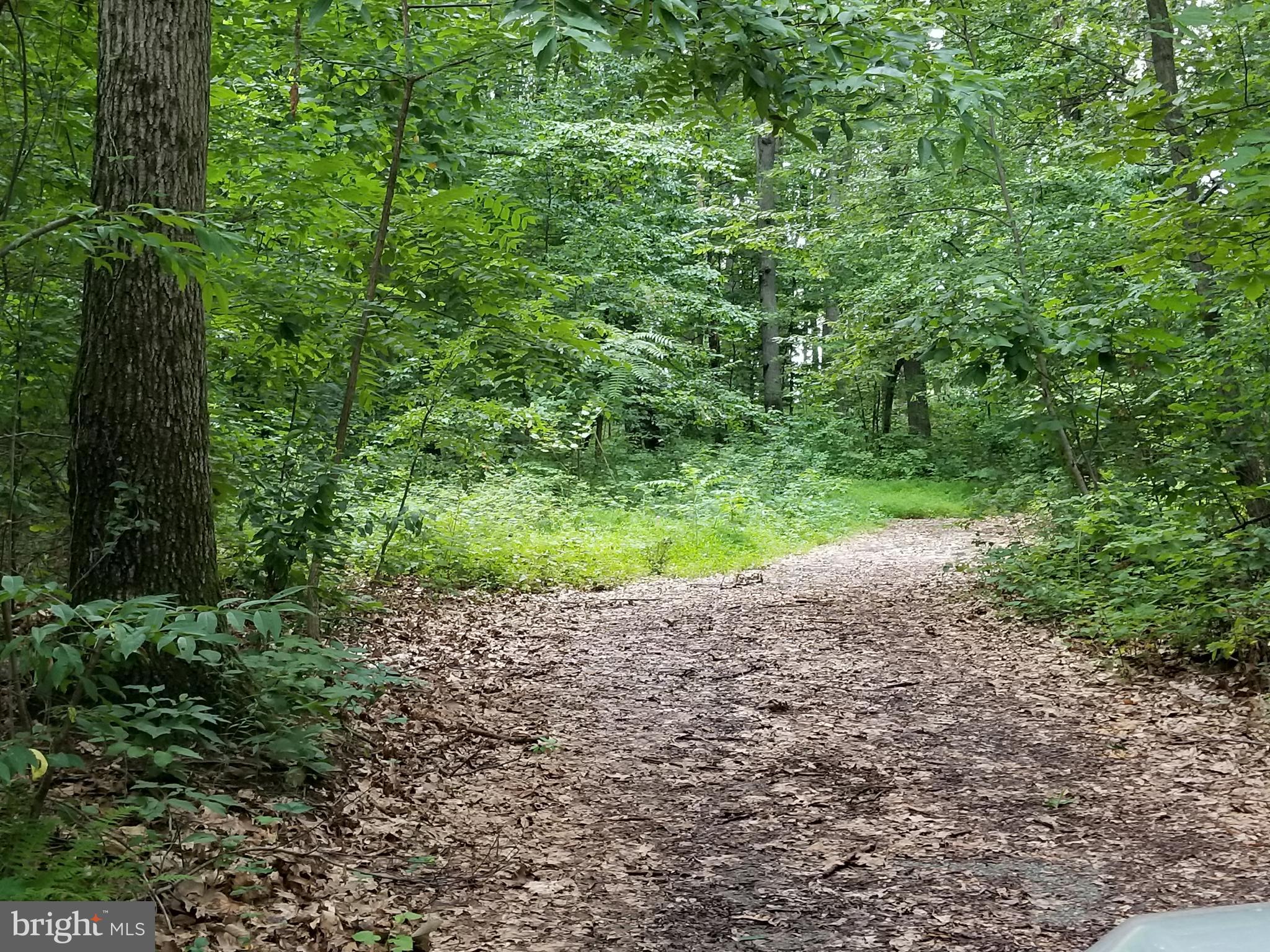 Millers Station Road, Unit PARCEL 524 Manchester, MD 21102 - Photo 5 of 14