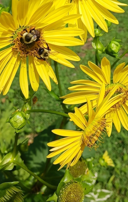 41 Standish Avenue Wareham, MA 02538 - Photo 19 of 35