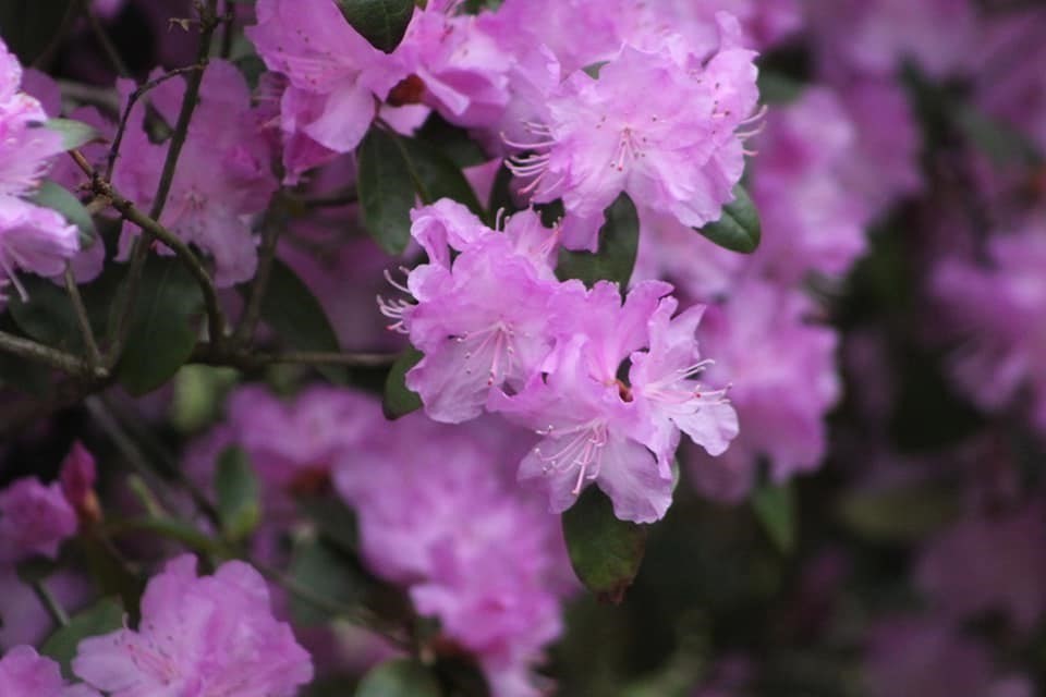 41 Standish Avenue Wareham, MA 02538 - Photo 25 of 35