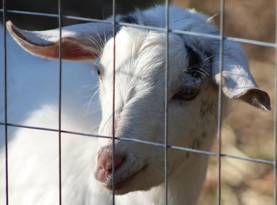 41 Standish Avenue Wareham, MA 02538 - Photo 32 of 35 a bathroom with a shower