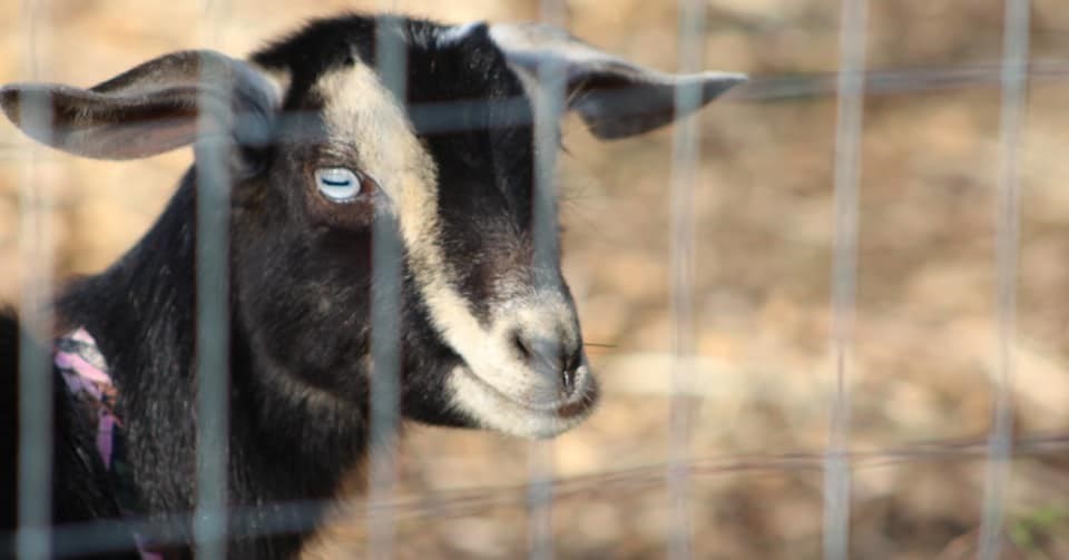 41 Standish Avenue Wareham, MA 02538 - Photo 33 of 35 a picture of a bathroom with a shower