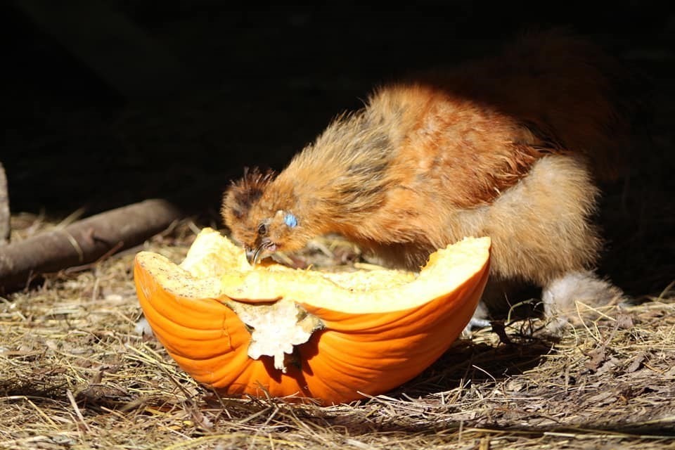 41 Standish Avenue Wareham, MA 02538 - Photo 34 of 35 a water heater on the side of a granite counter top