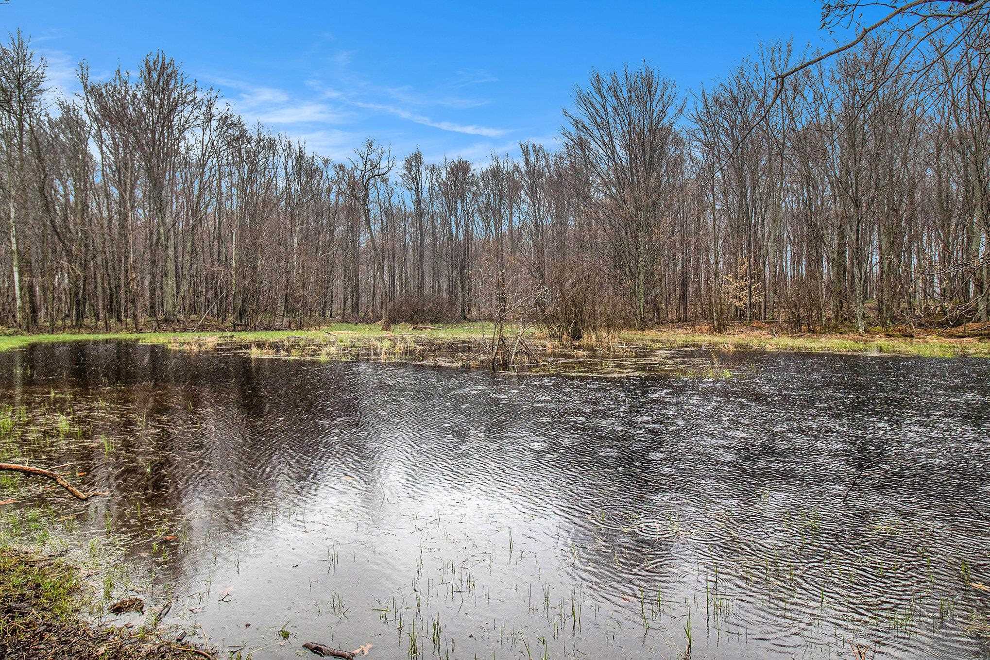 8110 Ames Road Bear Lake, MI 49614 - Photo 26 of 35