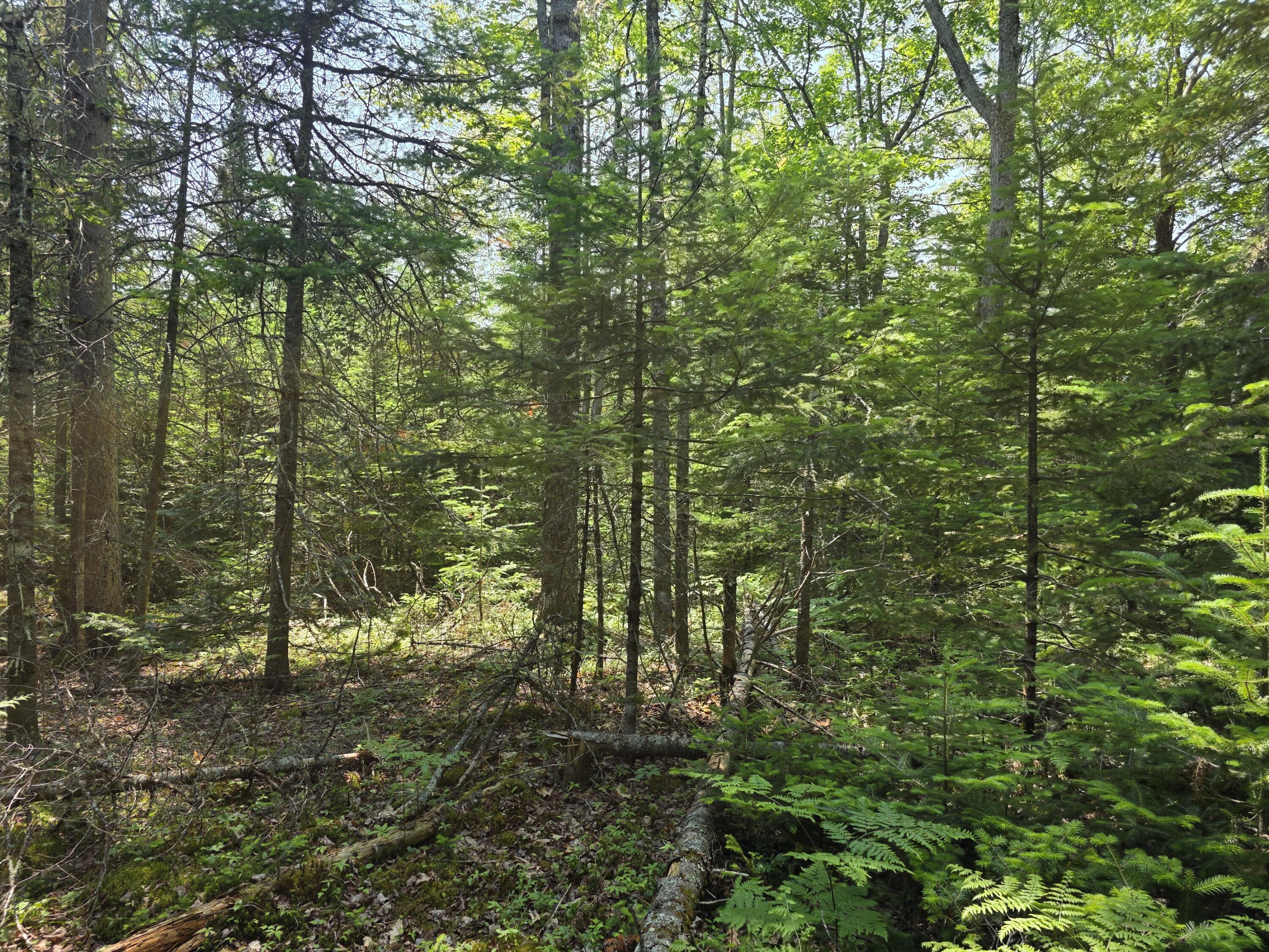 0 Brown Road Searsmont, ME 04973 - Photo 8 of 14 1000033530