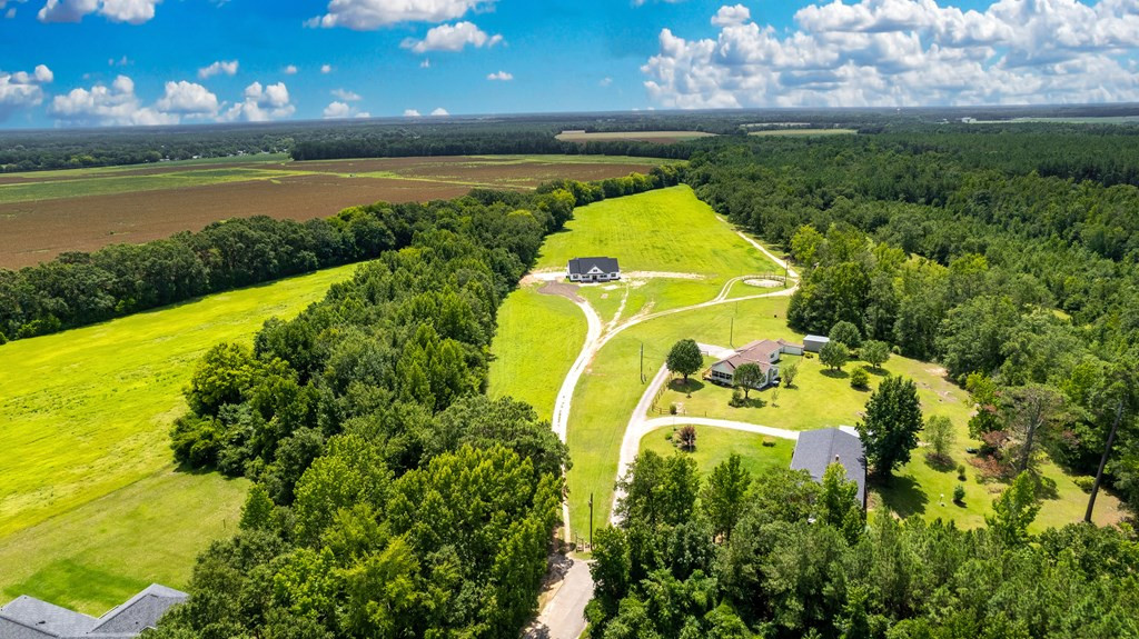 3200 Gaillard Road Dalzell, SC 29040 - Photo 11 of 45 Gallery Image 11