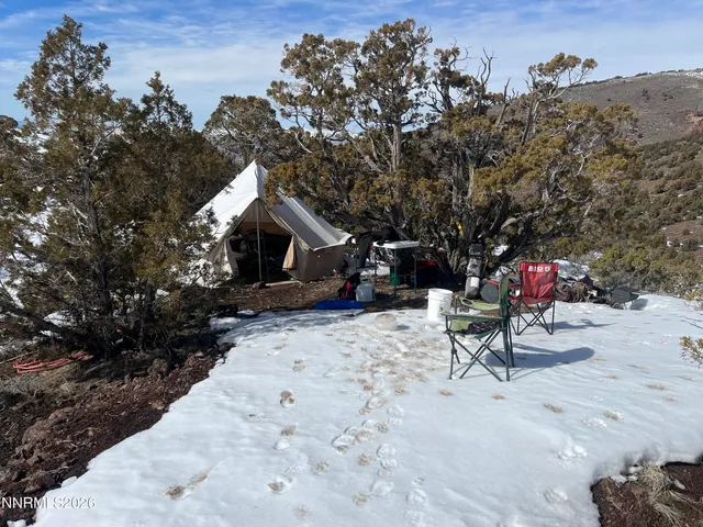 a view of a pathway with plants and trees