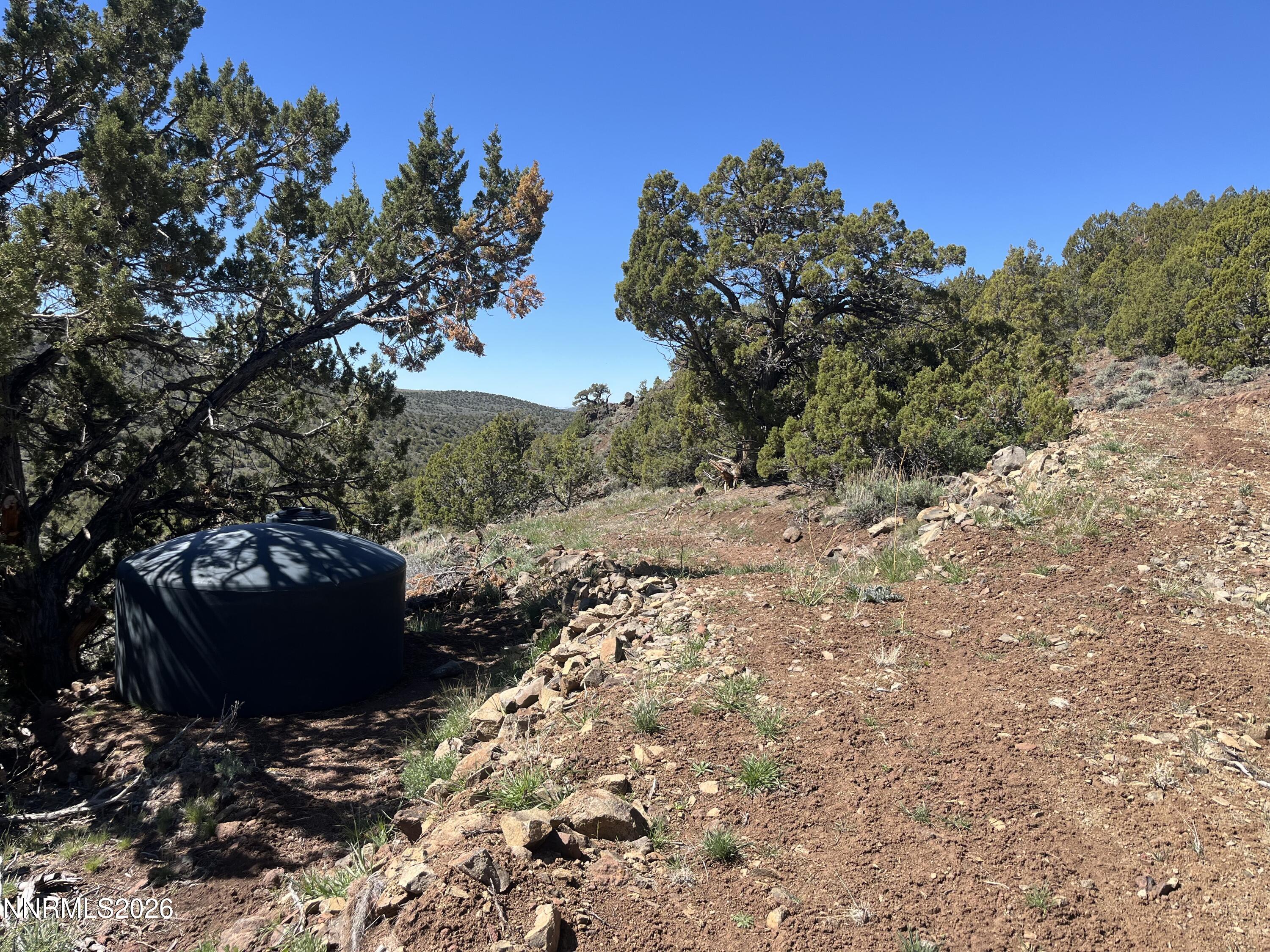 0 Microwave Road, Unit 1 Reno, NV 89510 - Photo 12 of 20 a view of a yard with plants and trees