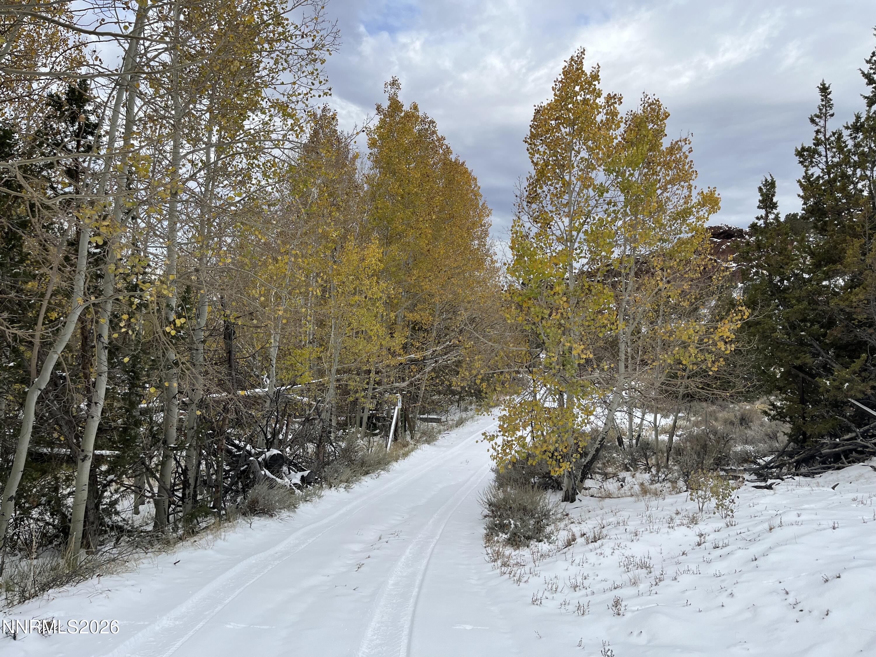0 Microwave Road, Unit 1 Reno, NV 89510 - Photo 2 of 20 a view of a pathway with plants and trees