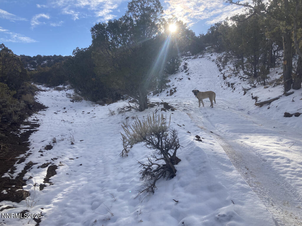 0 Microwave Road, Unit 1 Reno, NV 89510 - Photo 6 of 20 a view of a backyard of a house