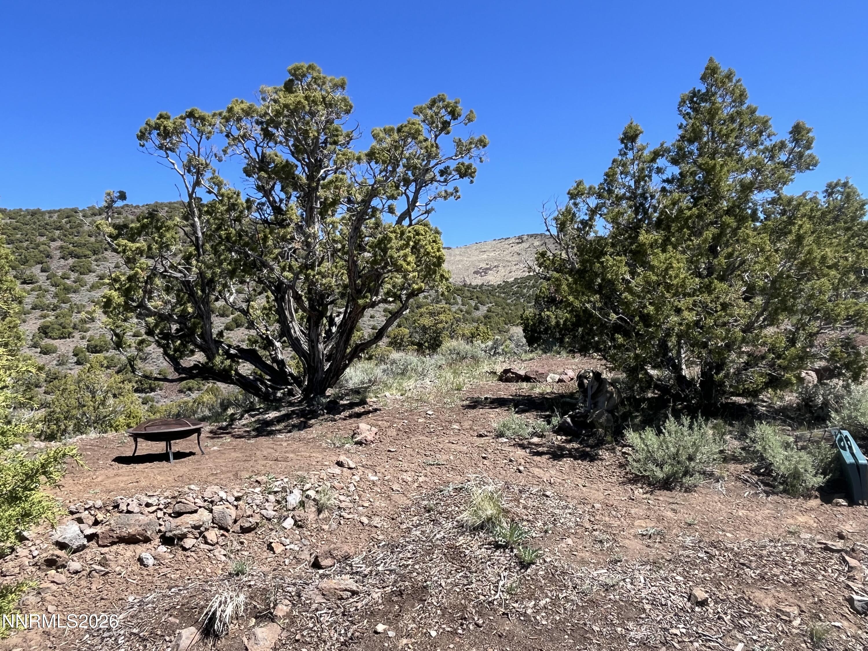 0 Microwave Road, Unit 1 Reno, NV 89510 - Photo 10 of 20 a view of a tree in a yard