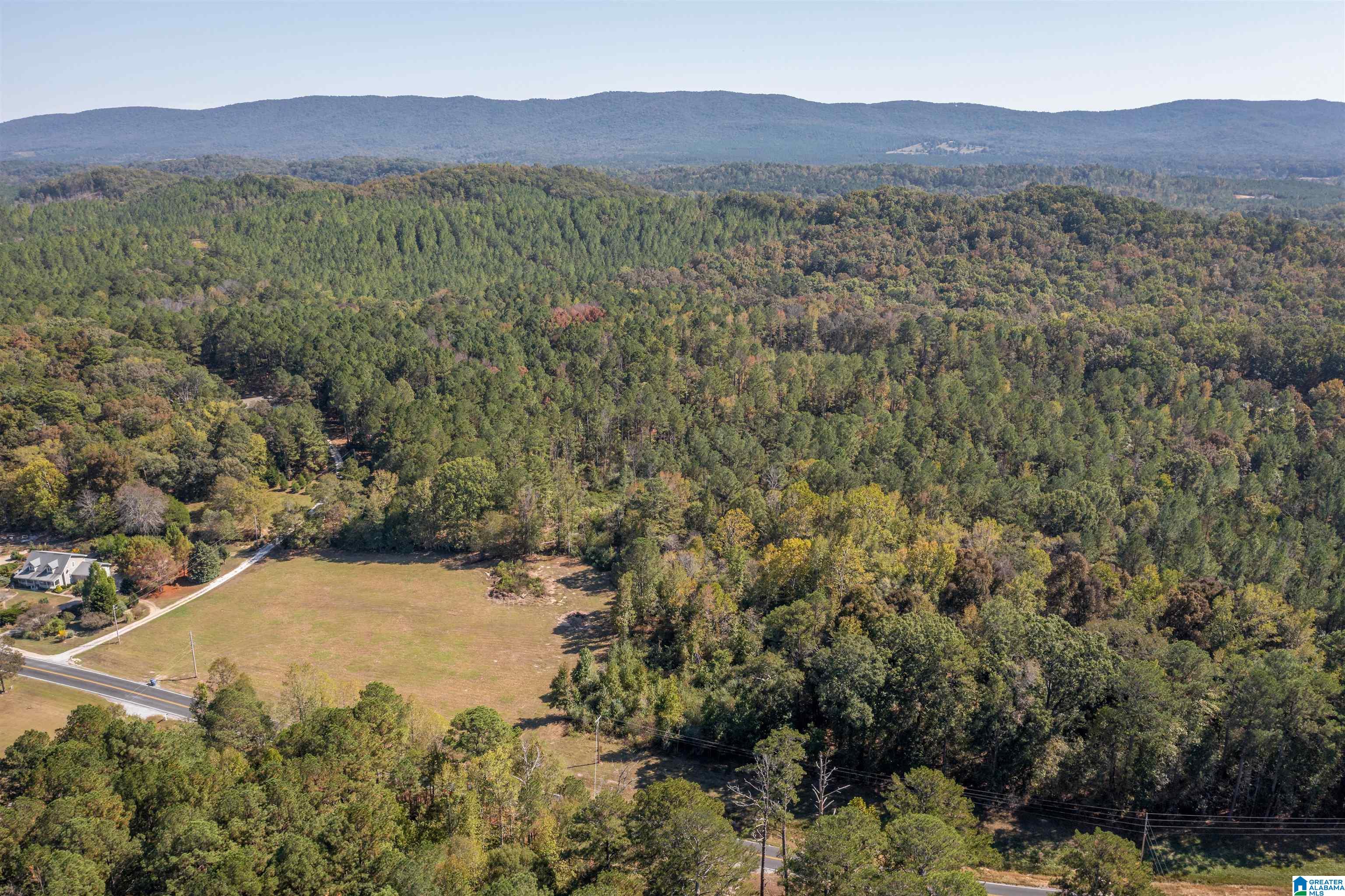 0 Roy Webb Road Jacksonville, AL 36265 - Photo 6 of 15