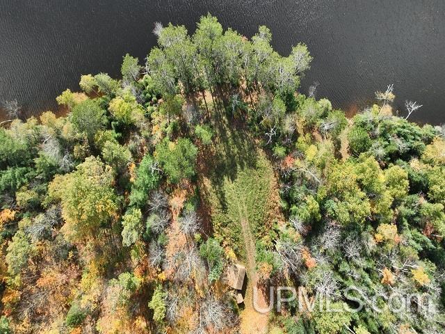 5800 Wolf Lake Road Watersmeet, MI 49969 - Photo 73 of 86