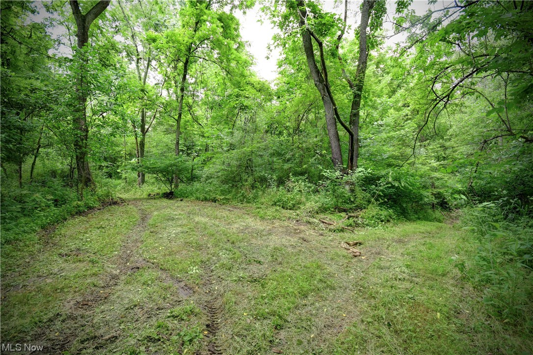Sleepy Elm Road Newcomerstown, OH 43832 - Photo 17 of 33 Gallery Image 17
