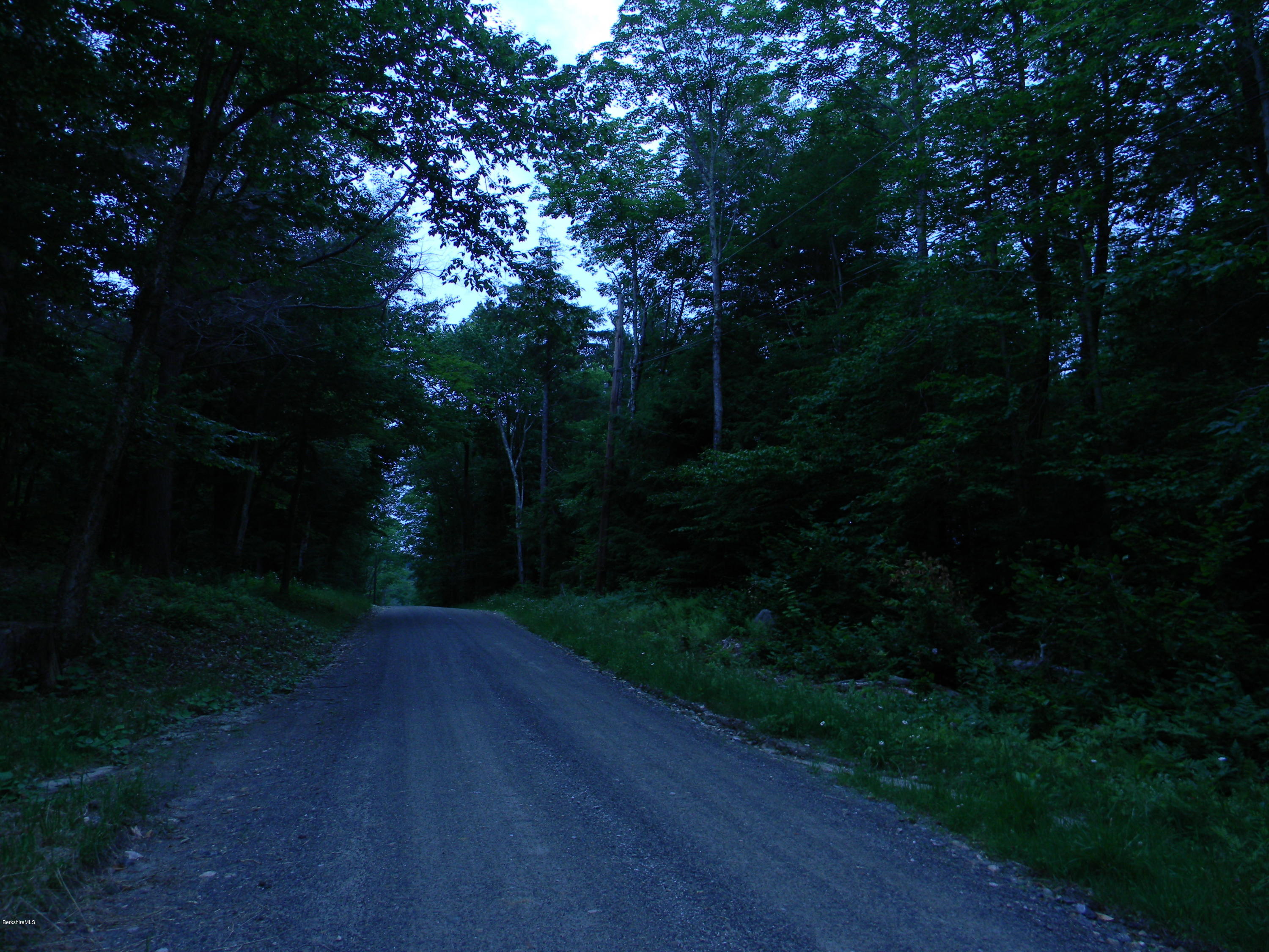 Giles Road Otis, MA 01253 - Photo 10 of 12 6-17 016