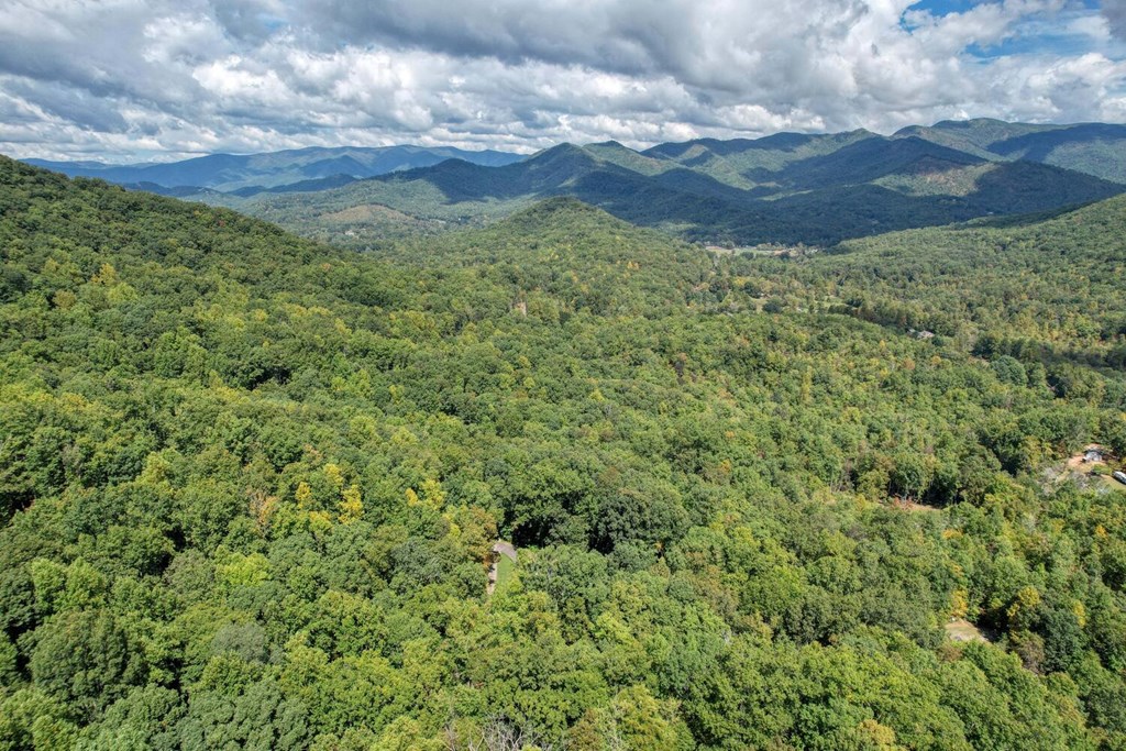 215 Rhodemont Trail Hayesville, NC 28904 - Photo 49 of 50