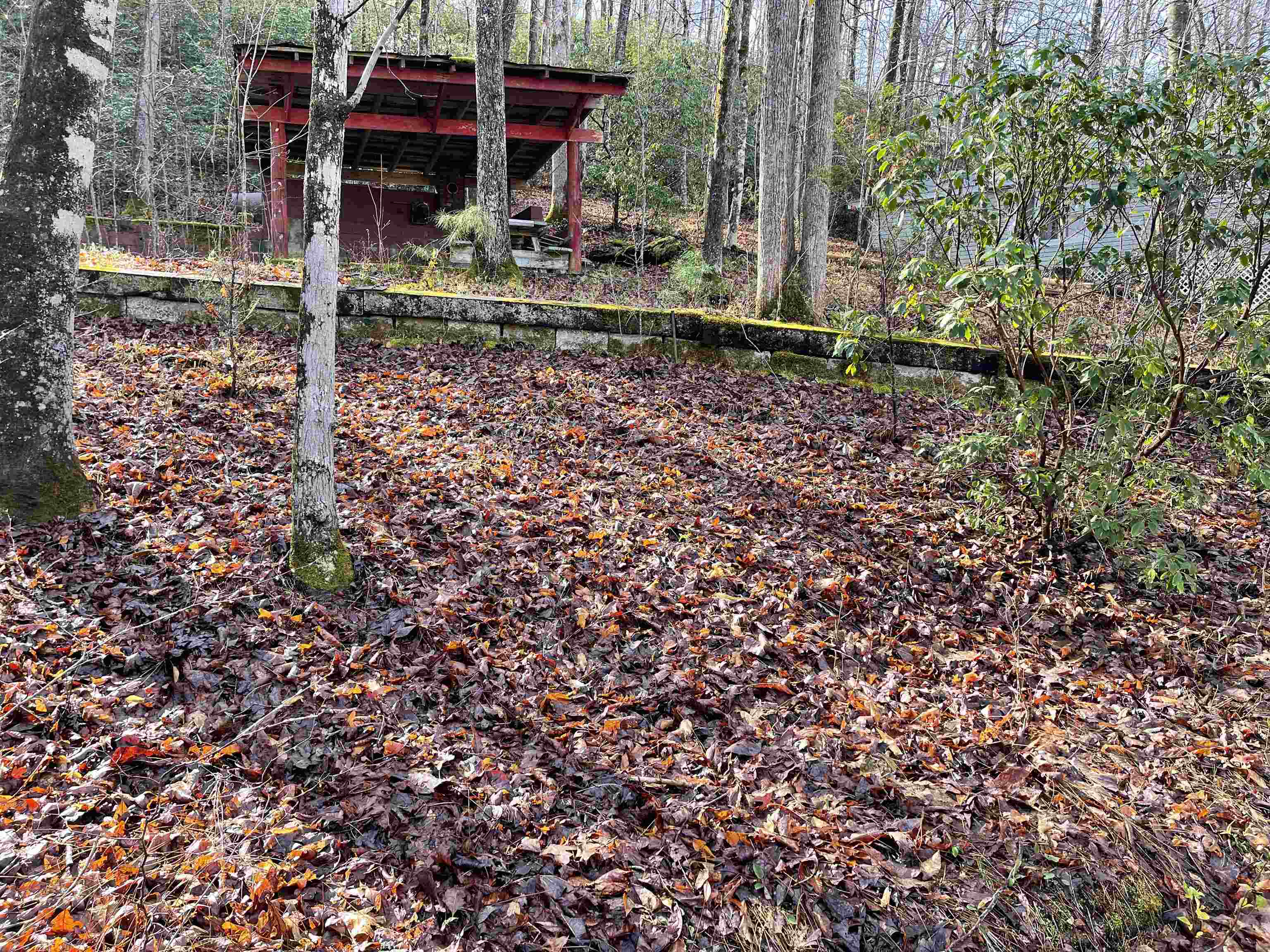 54 Rivermont Road Cleveland, SC 29635 - Photo 4 of 7