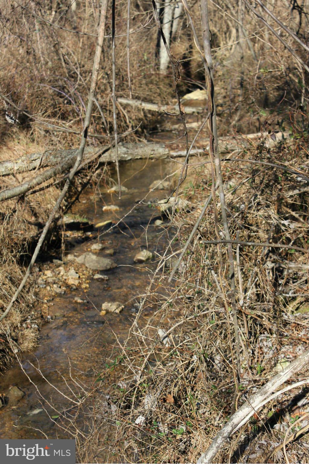 24100 Stringtown Road Clarksburg, MD 20871 - Photo 5 of 23 creek