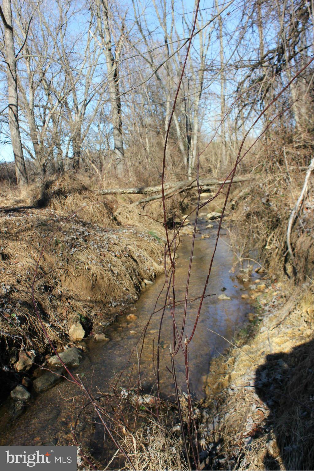 24100 Stringtown Road Clarksburg, MD 20871 - Photo 6 of 23 creek