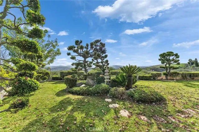 a view of a garden with plants