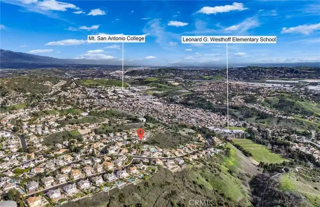 a view of a bunch of trees