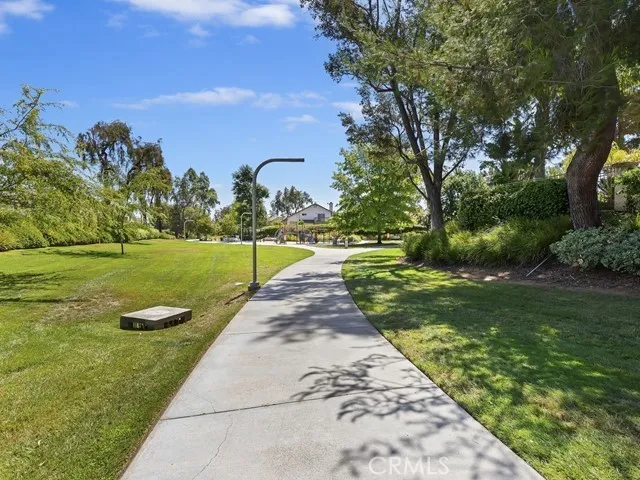 a view of a park with large trees